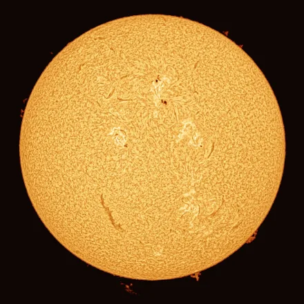 The full solar disc in hydrogen-alpha, captured with Laminar