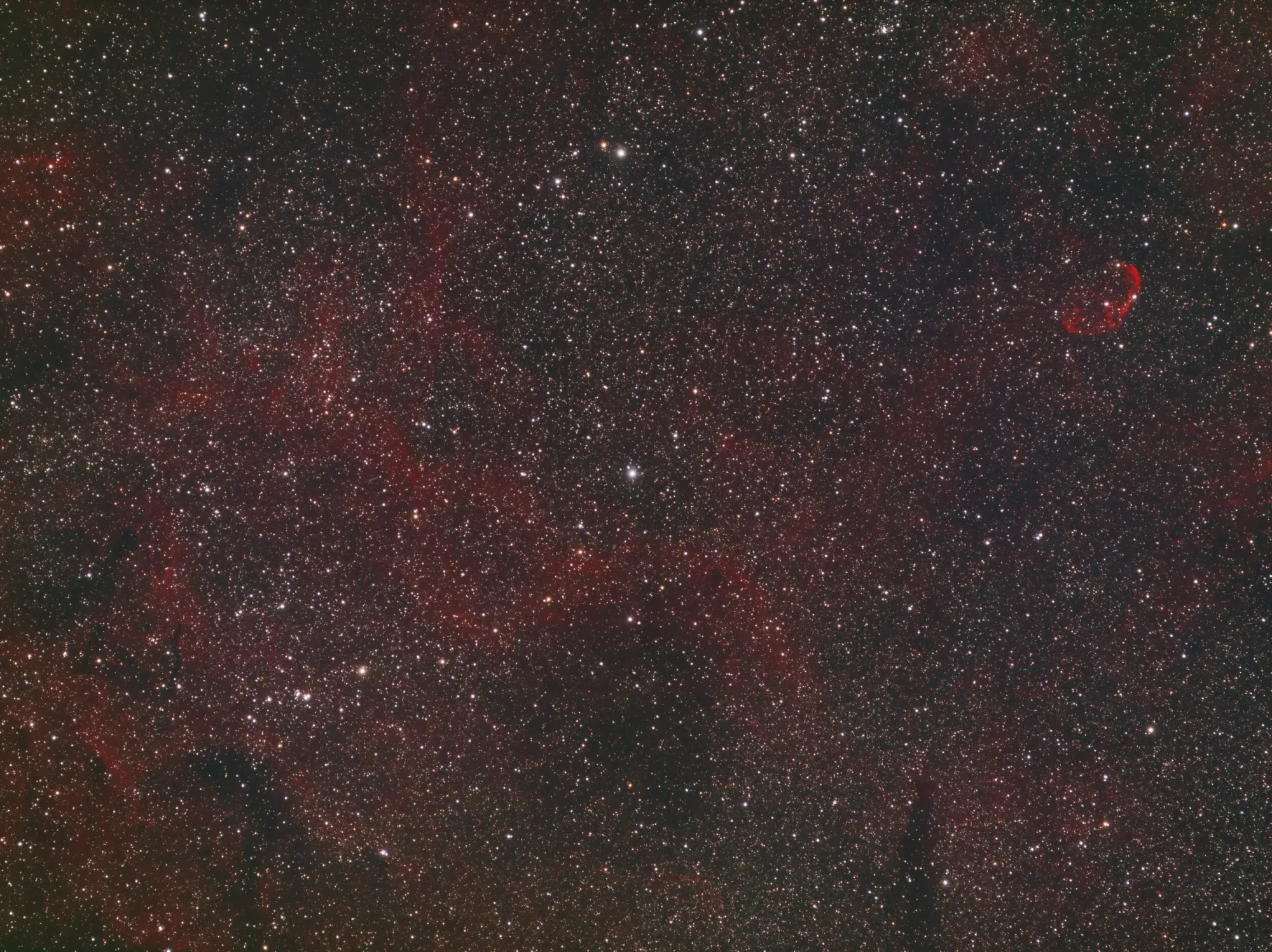 Crescent Nebula Widefield