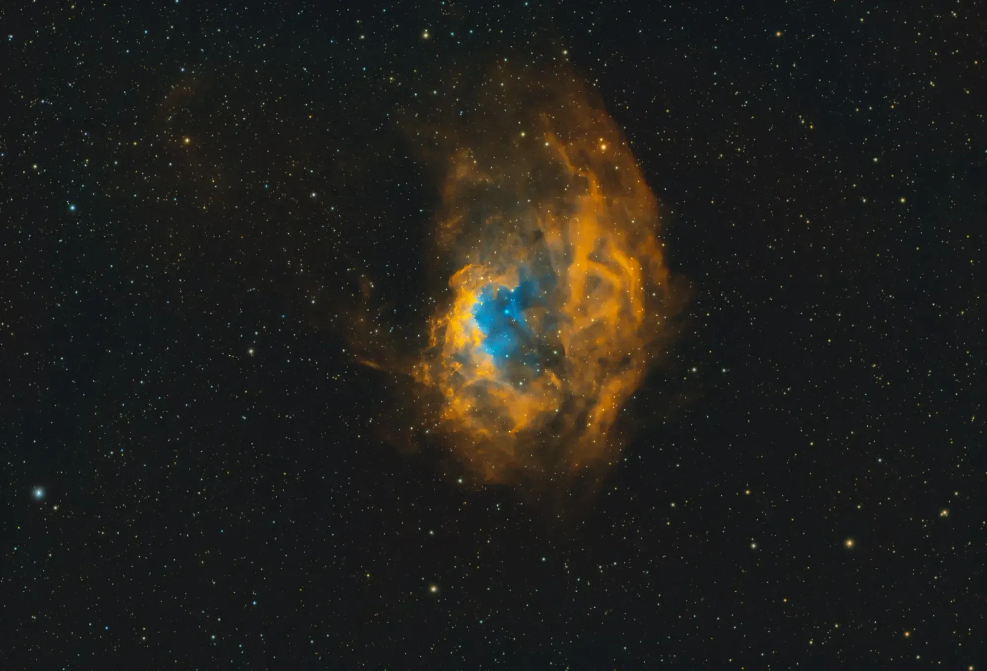 SH2-261: Lower's Nebula