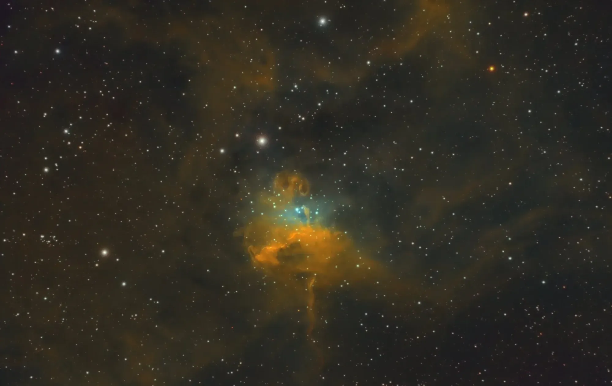 IC 417: The Spider