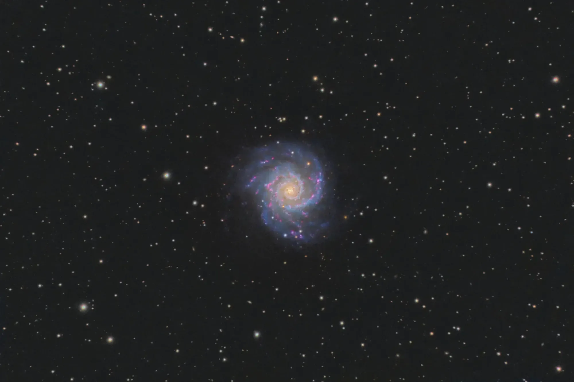 M74