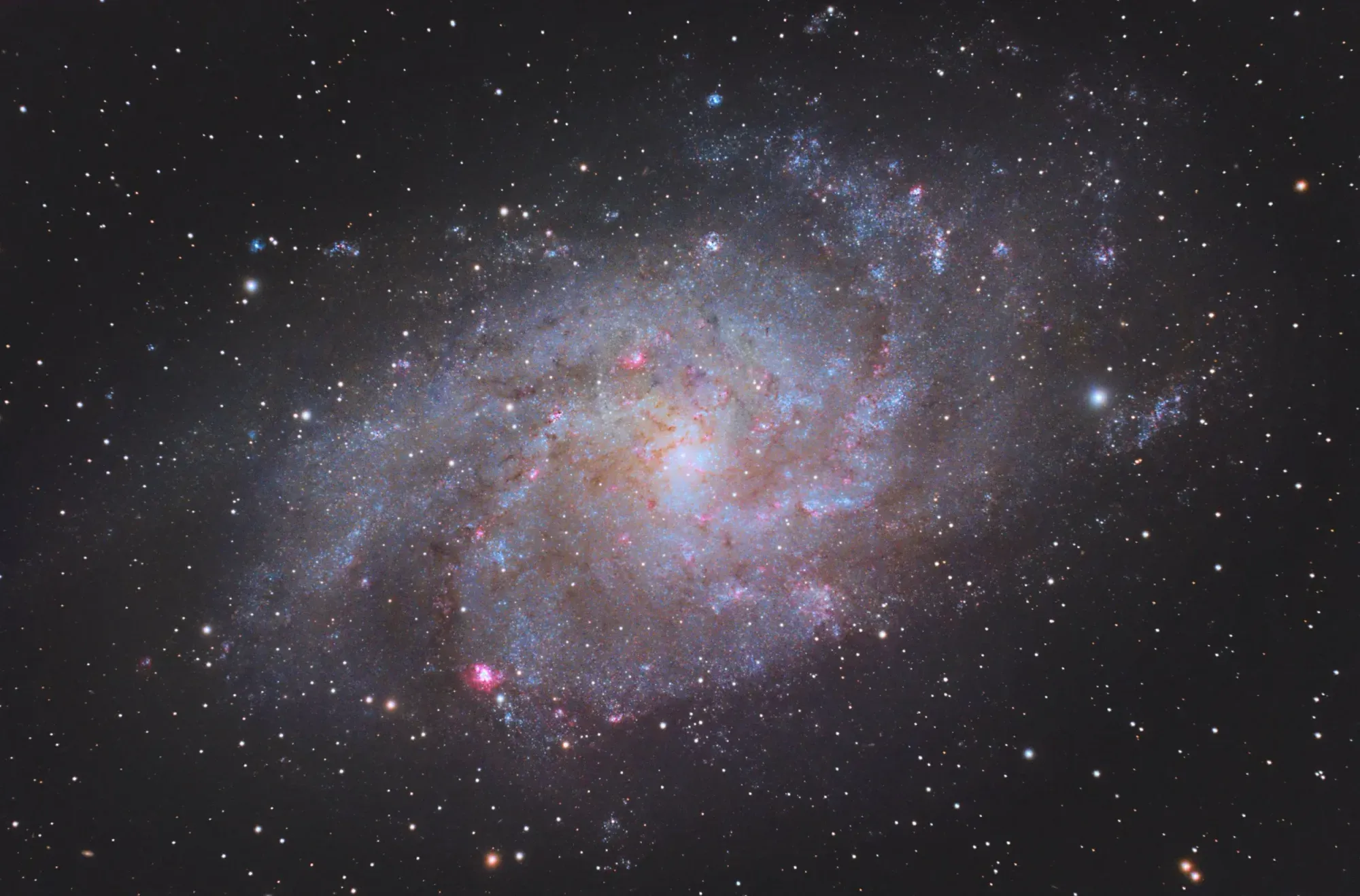 Messier 33: The Triangulum Galaxy