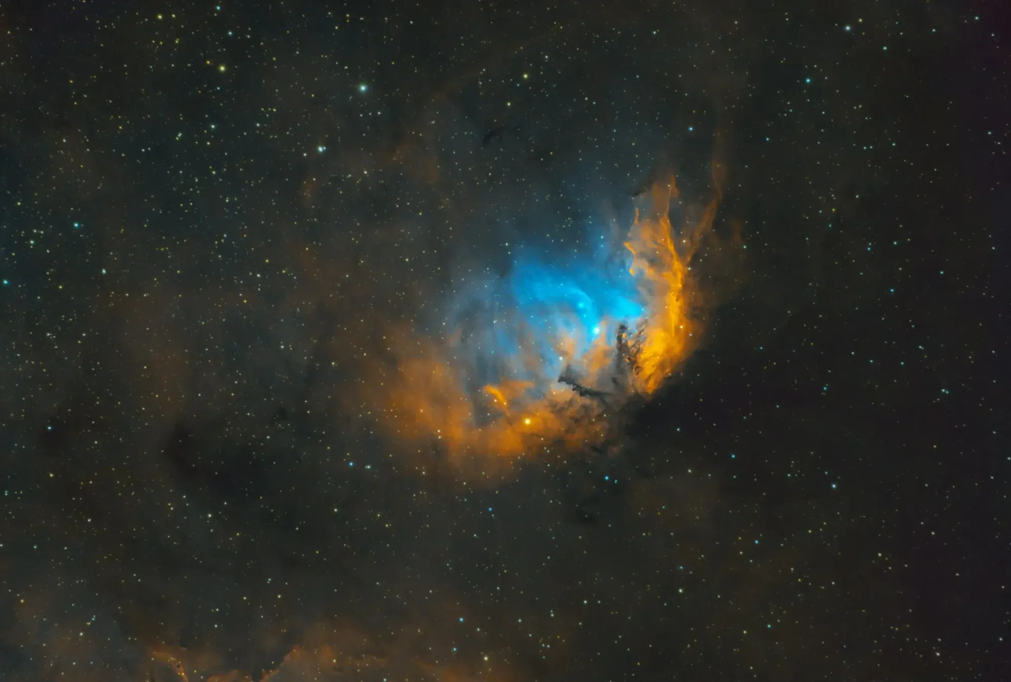SH2-101: Tulip Nebula