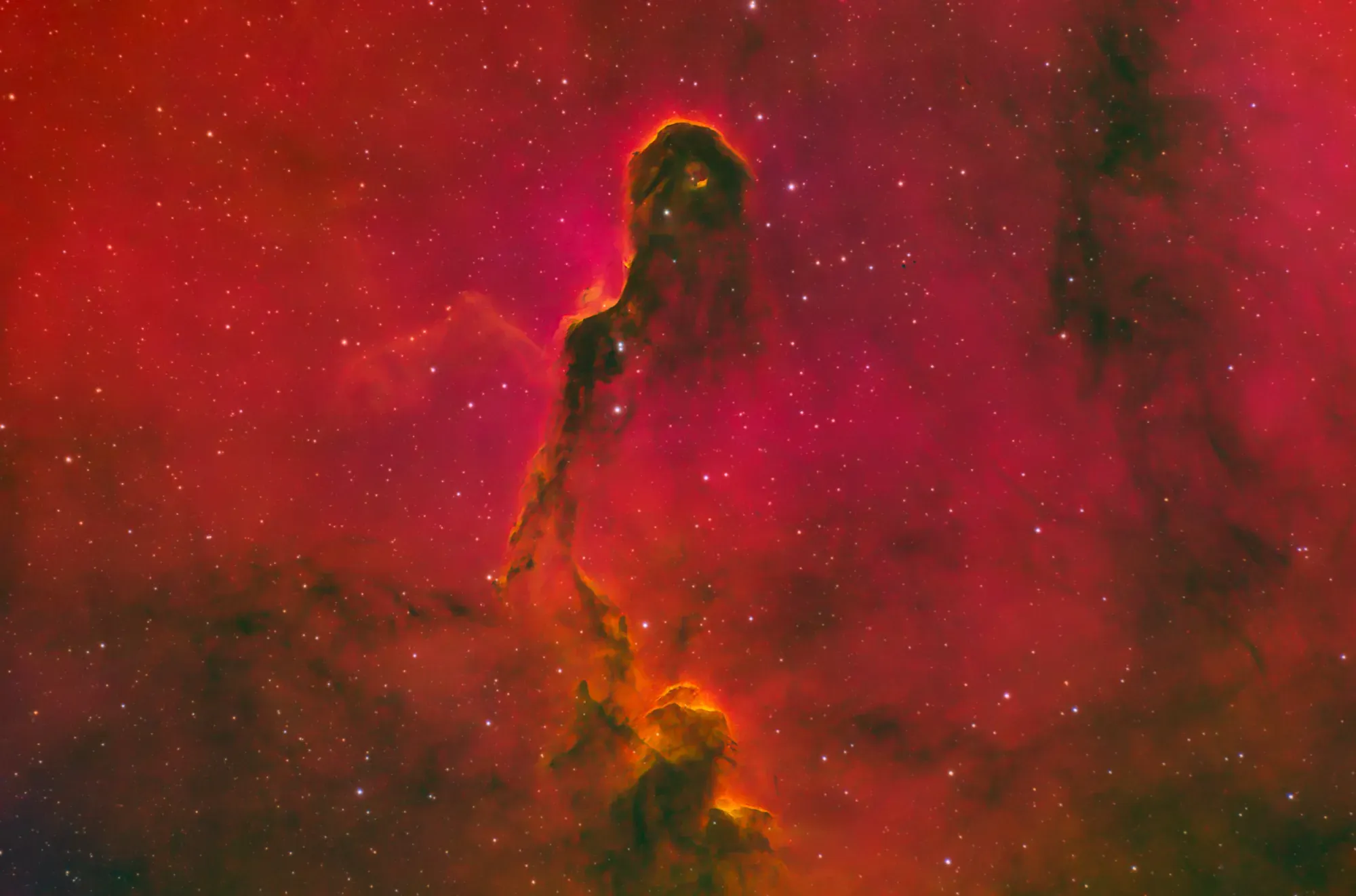 IC 1396: Elephant Trunk Nebula