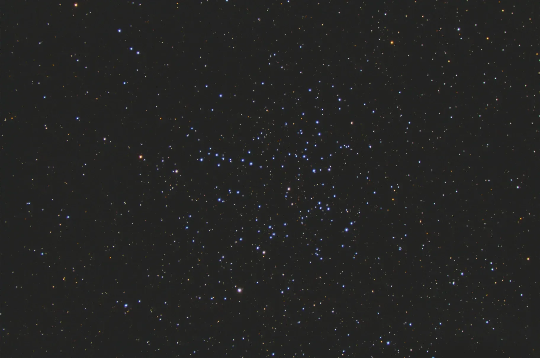 M38: open cluster
