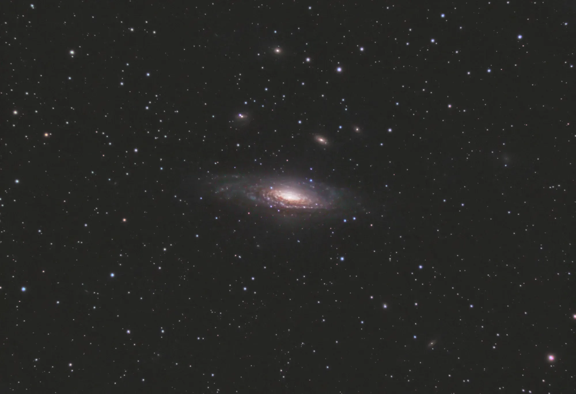  NGC 7331. Just 6 hours of exposure from a bortle 7/8 zone. 