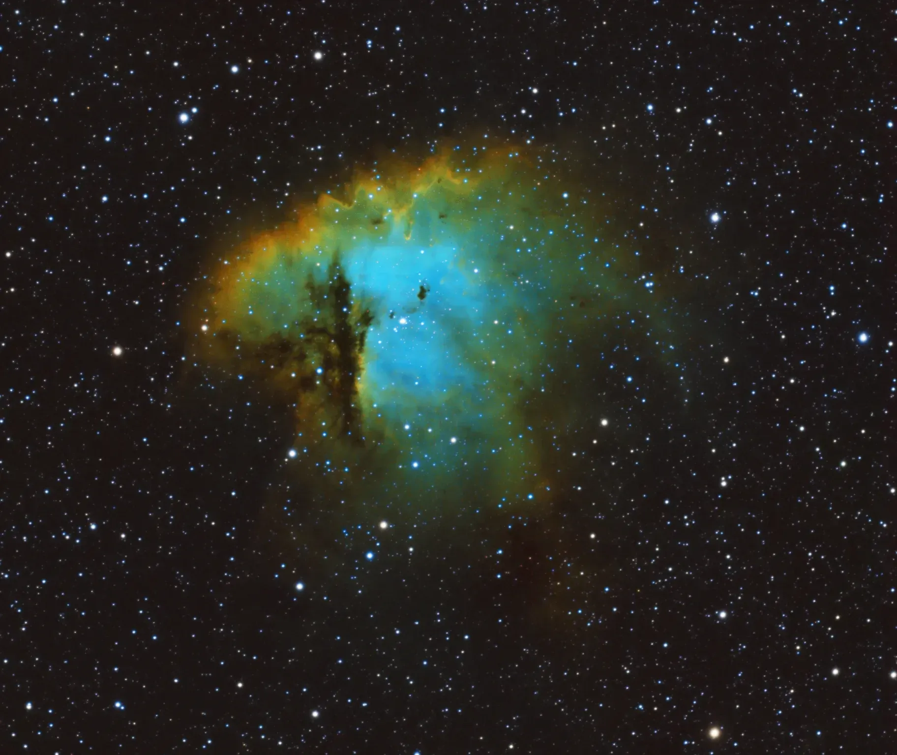  This is the original image. Over processed, over saturated, and lacking contrast despite the very saturated coloring. 