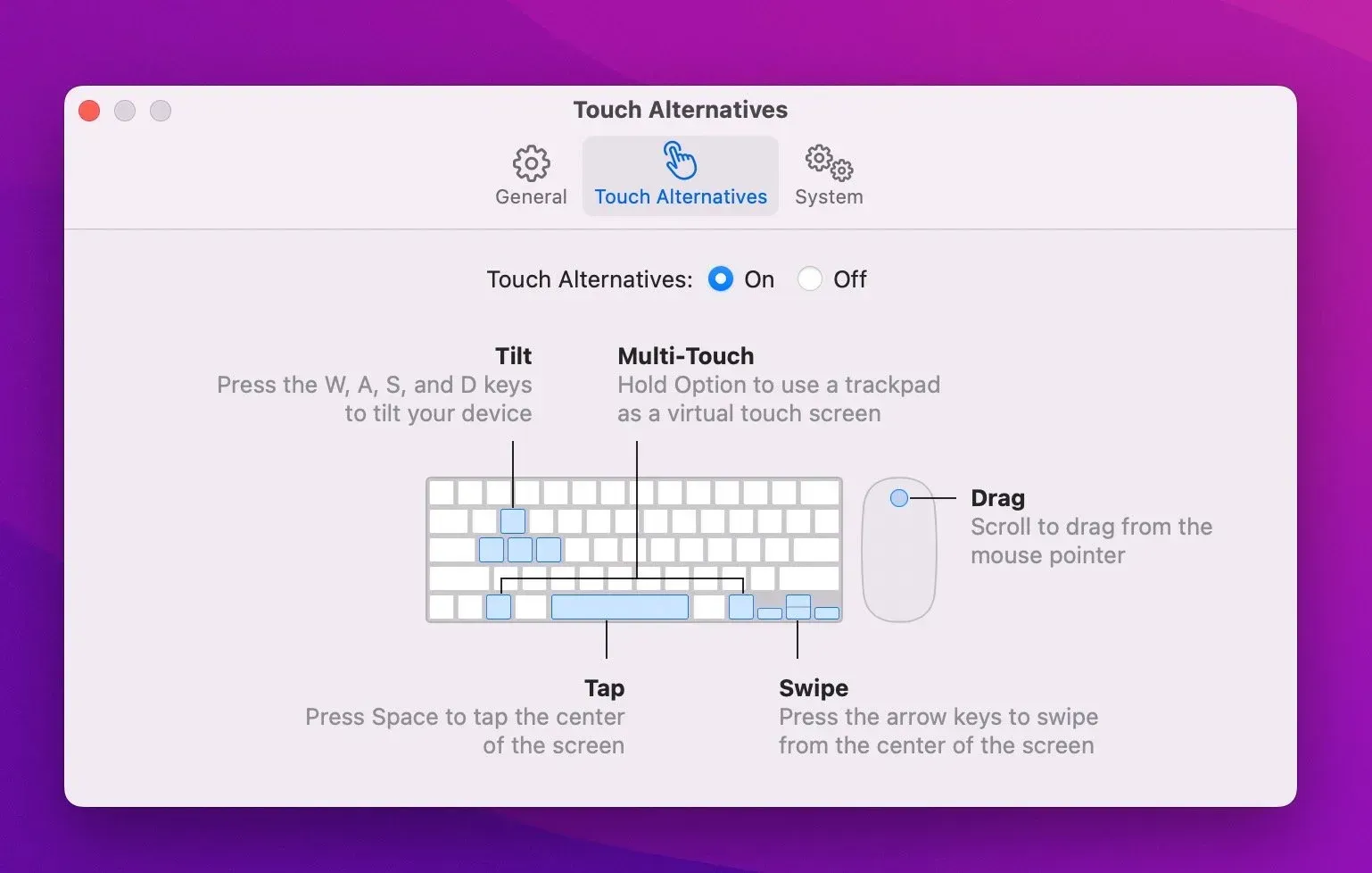  Enable keyboard and mouse inputs for the application. 