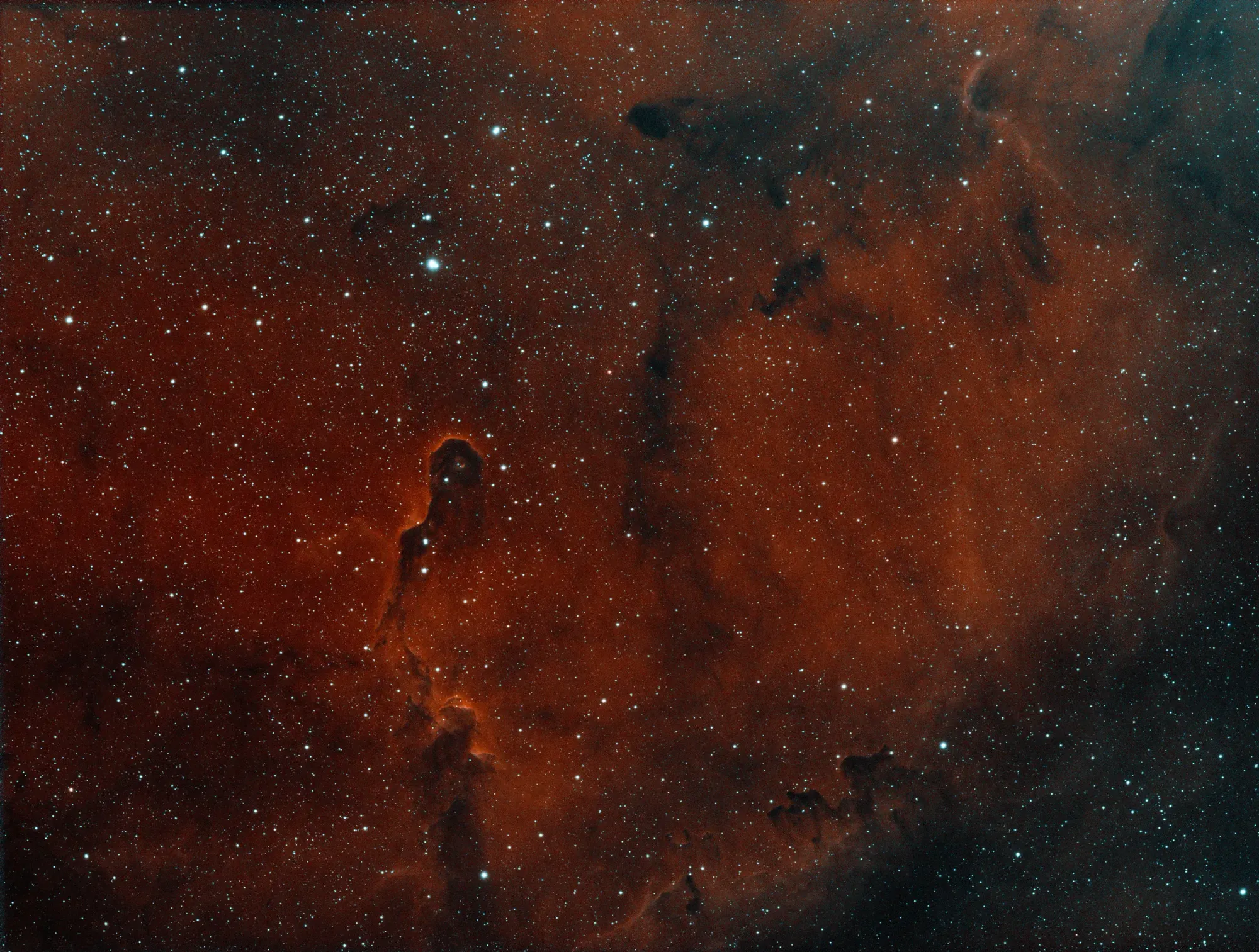 Imaging the Elephant Trunk Nebula - IC1396