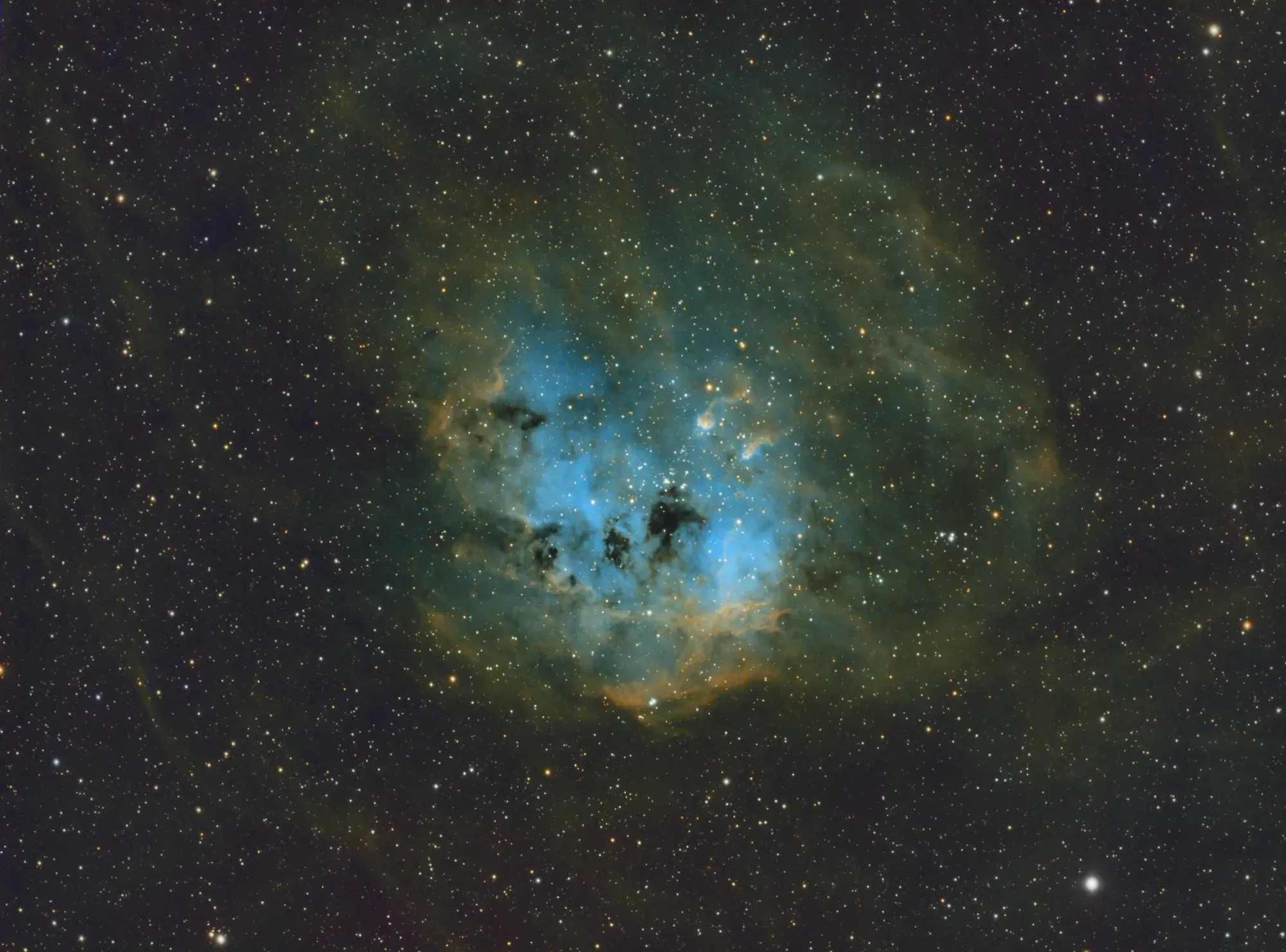 Narrowband Imaging IC410 and IC417